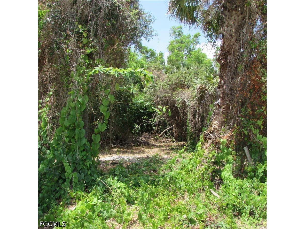 14901 Stringfellow Road Bokeelia FL 33922 2026025371 image15