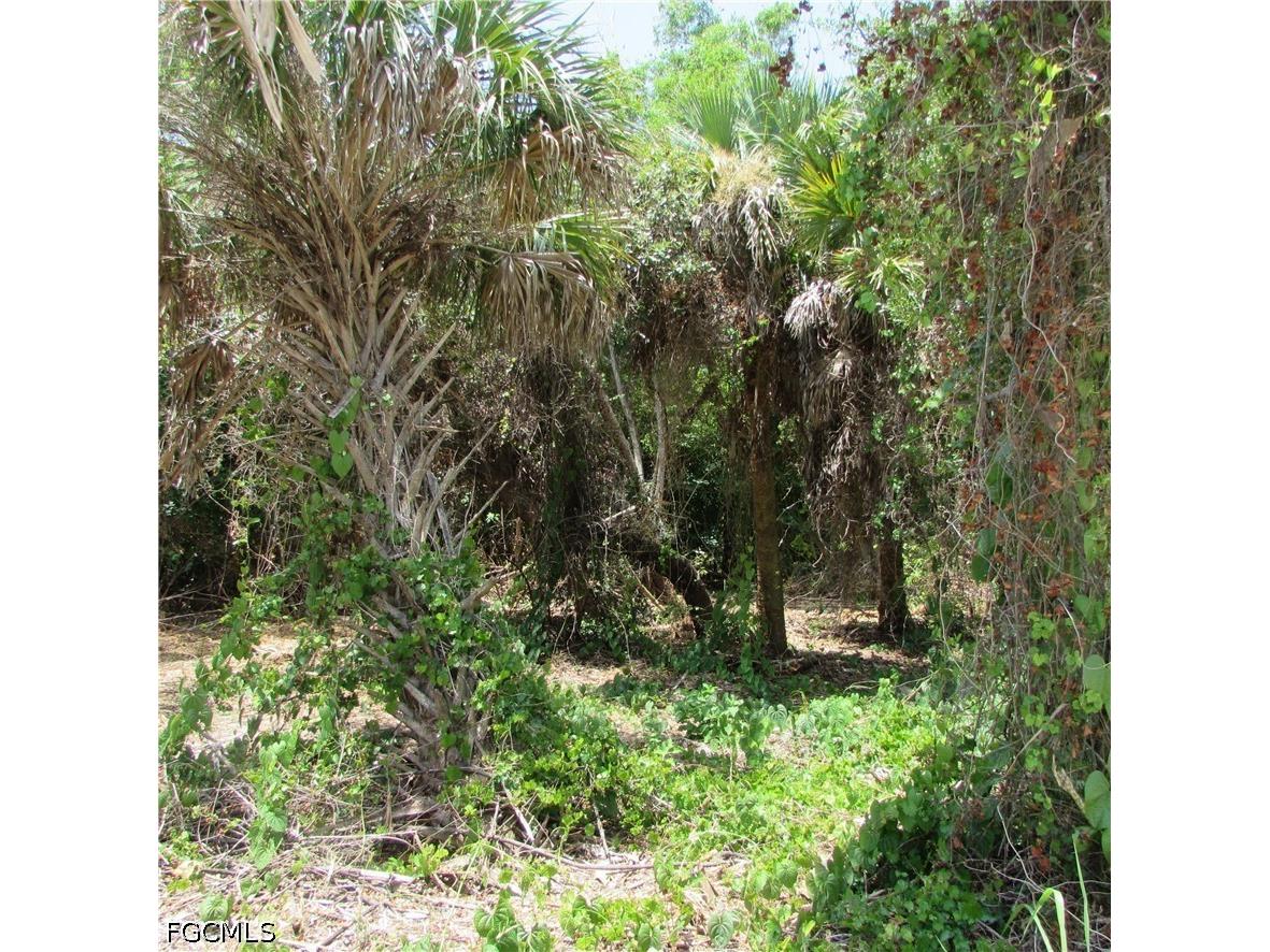 14901 Stringfellow Road Bokeelia FL 33922 2026025371 image16