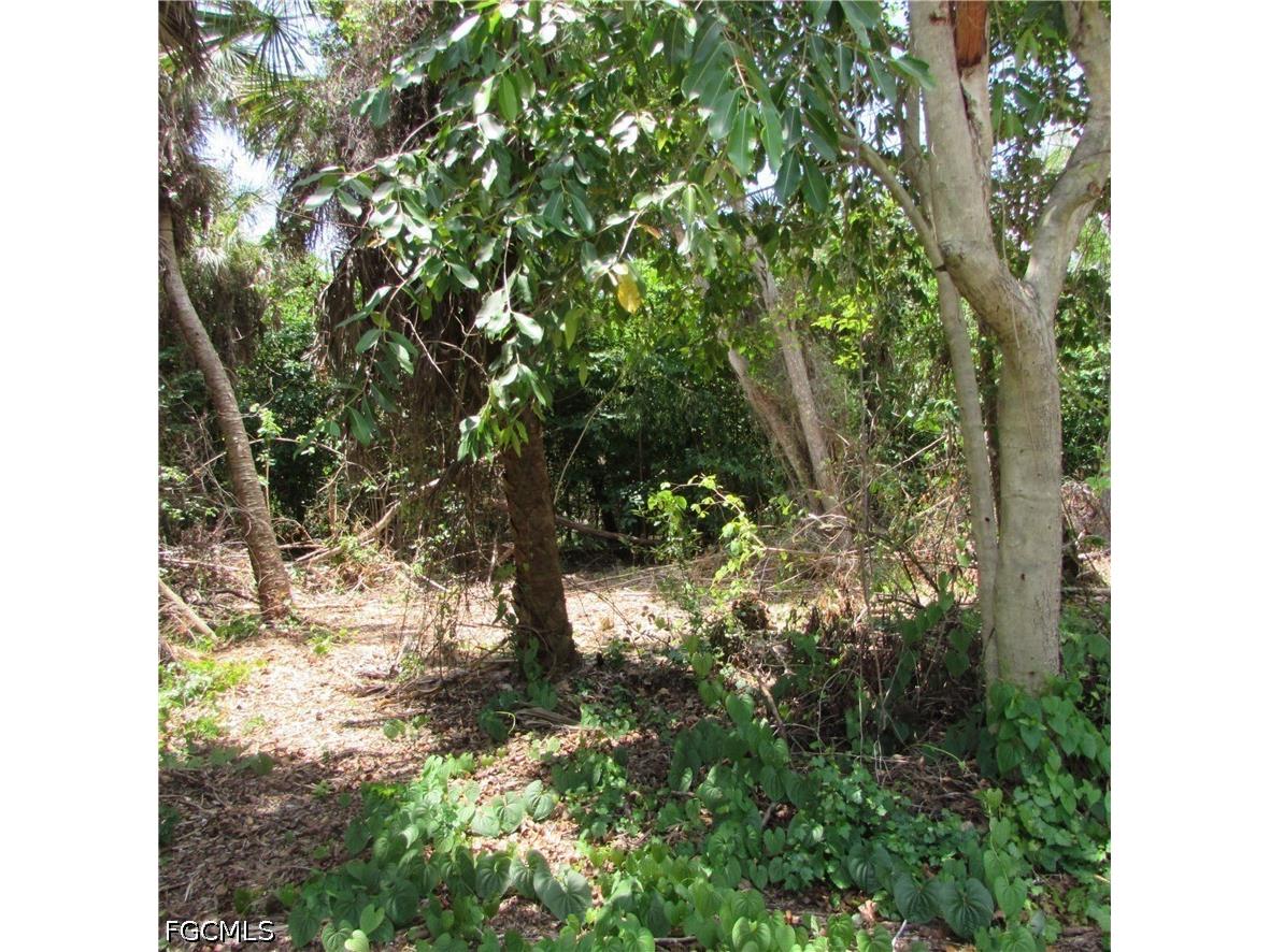 14901 Stringfellow Road Bokeelia FL 33922 2026025371 image17