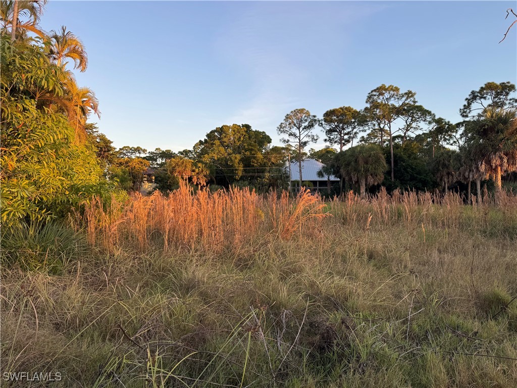 14917 Martin Drive Fort Myers FL 33908 225082539 image3