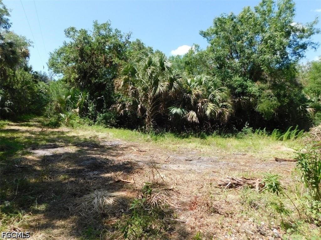 14971 Duke Highway Alva FL 33920 2026022127 image5