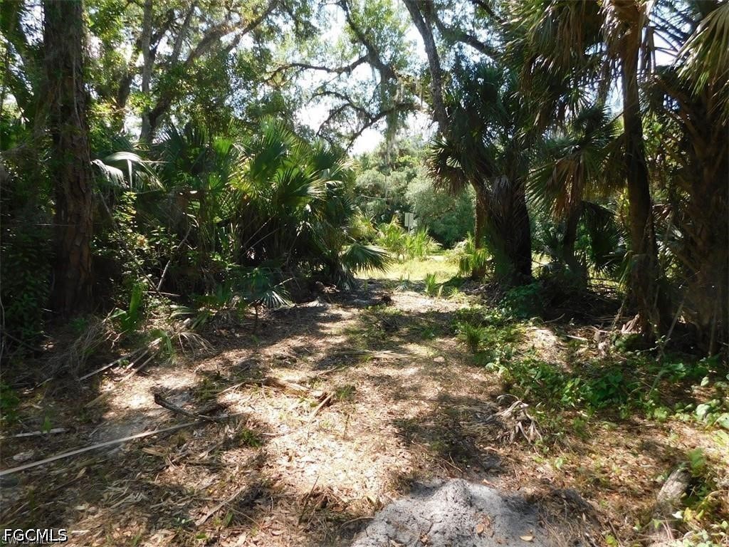14971 Duke Highway Alva FL 33920 2026022127 image6