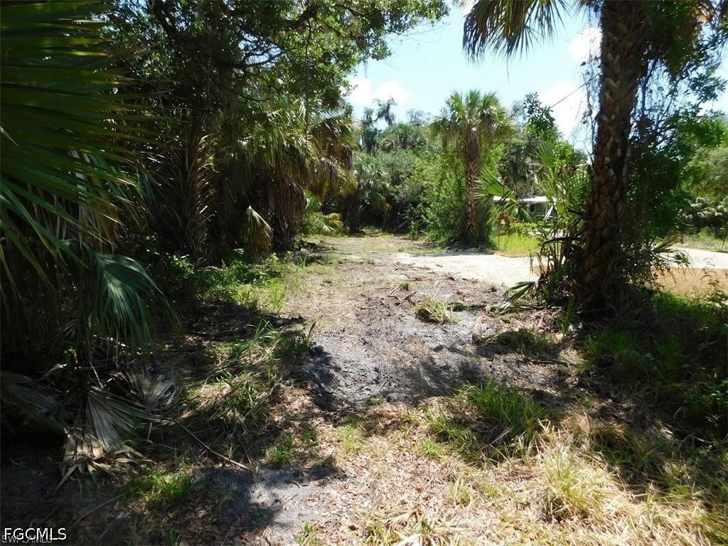 14971 Duke Highway Alva FL 33920 2026022127 image7