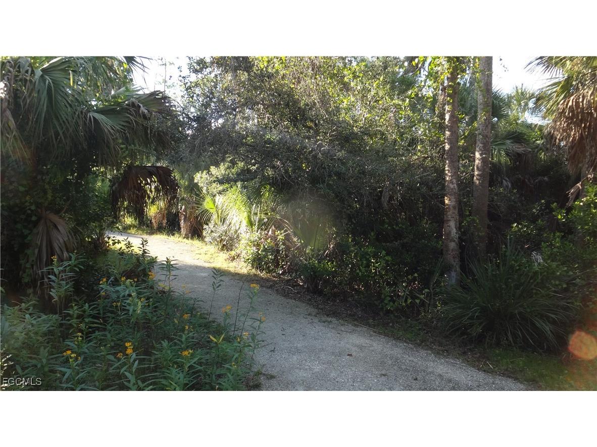 14981 Reflection Key Circle #335 Fort Myers FL 33907 2025015621 image37