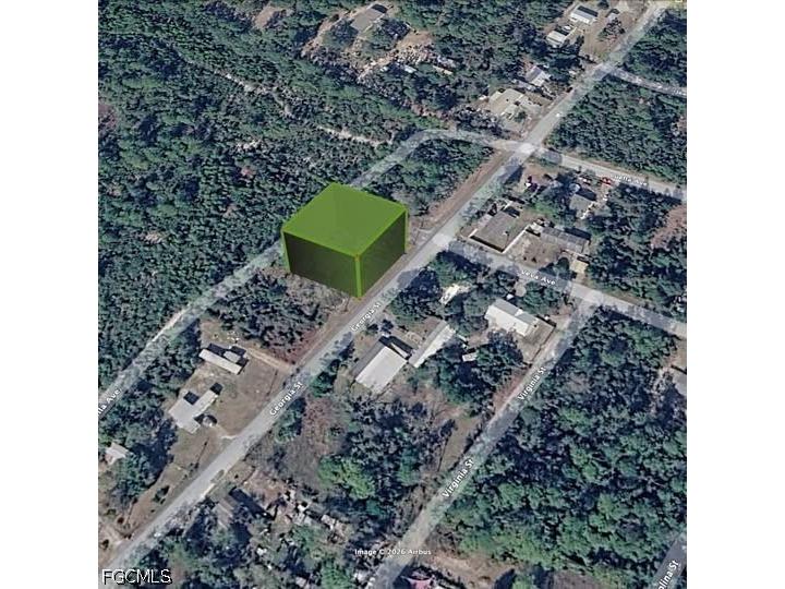 15-17-28-0200-009-00100 Georgia Street Paisley FL 32767 2026015119 image3
