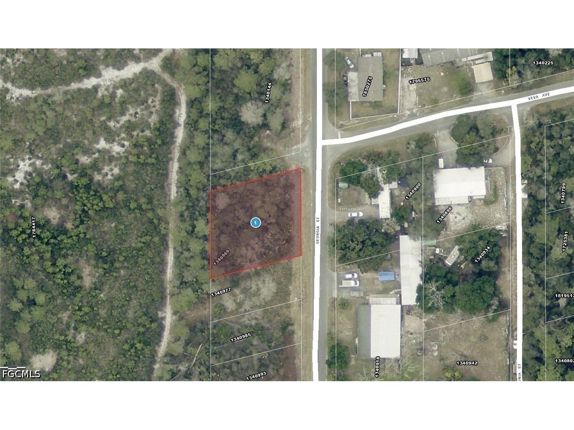 15-17-28-0200-009-00100 Georgia Street Paisley FL 32767 2026015119 image4