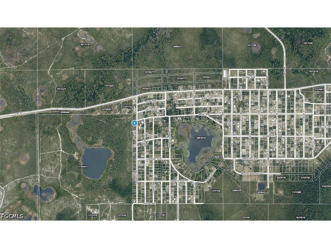 15-17-28-0200-009-00100 Georgia Street Paisley FL 32767 2026015119 image6