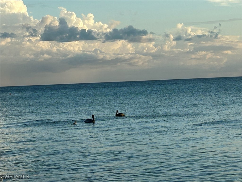 15 Bluebill Avenue #1105 Naples FL 34108 225077312 image48