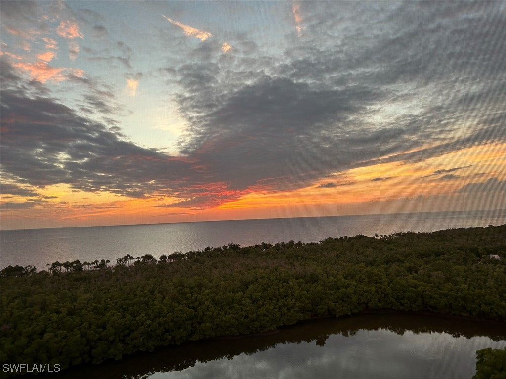 15 Bluebill Avenue #1105 Naples FL 34108 225077312 image49