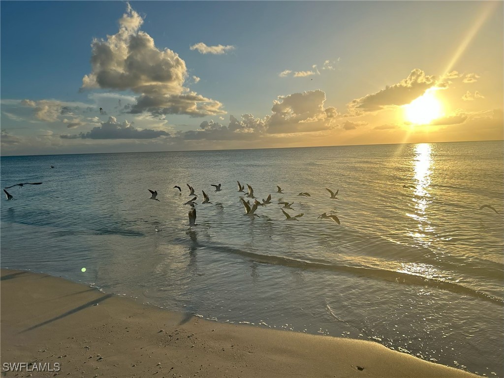 15 Bluebill Avenue #1105 Naples FL 34108 225077312 image5