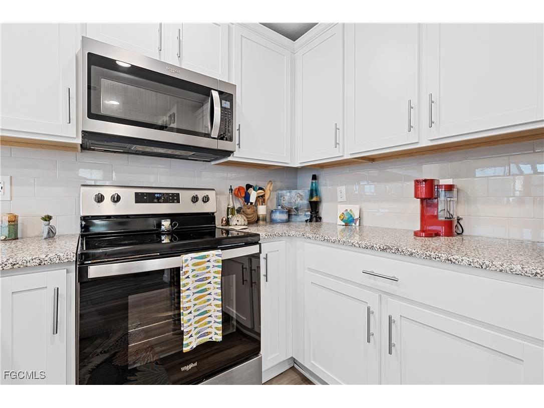 15011 Caspian Tern Court #101 North Fort Myers FL 33917 2025015518 image9