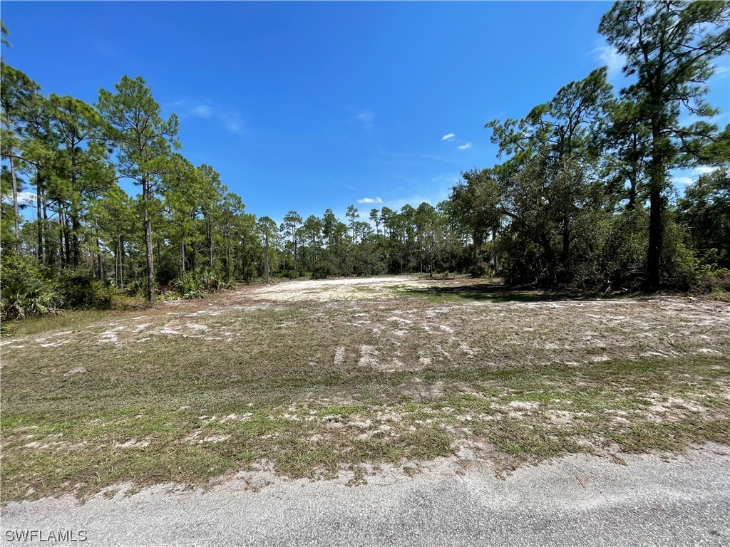 1502 Oak Avenue Lehigh Acres FL 33972 223069564 image1