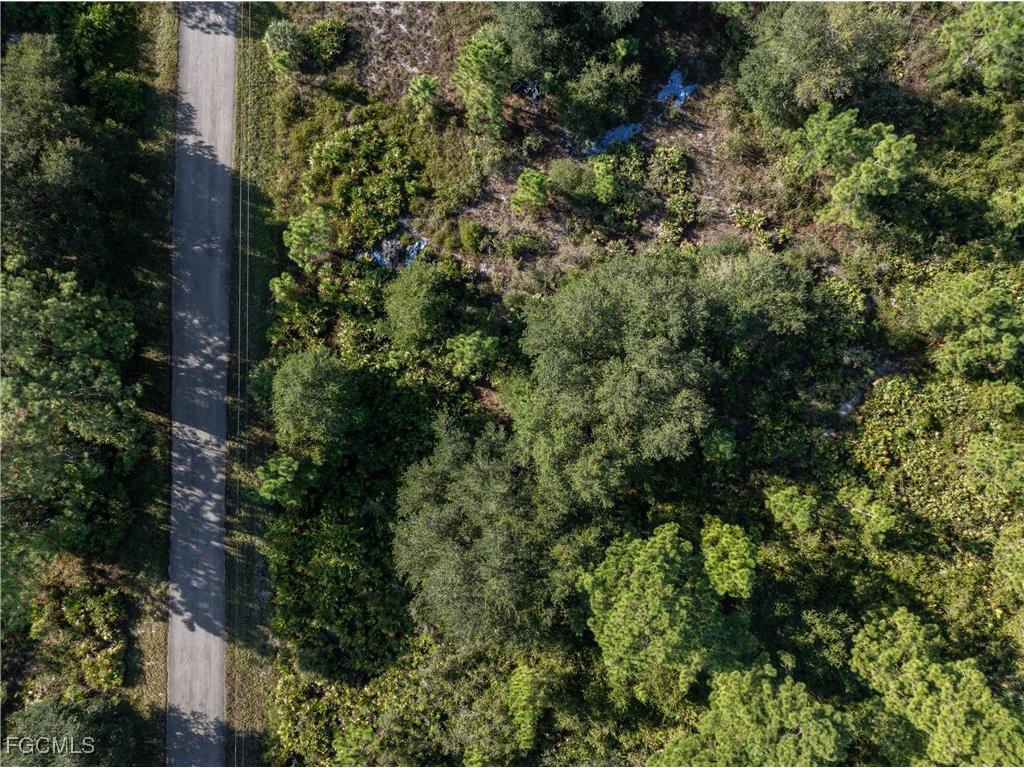 1503 Acacia Avenue Lehigh Acres FL 33972 2025011070 image5