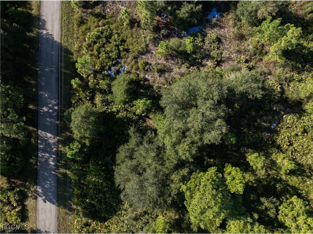 1503 Acacia Avenue Lehigh Acres FL 33972 2025011070 image6