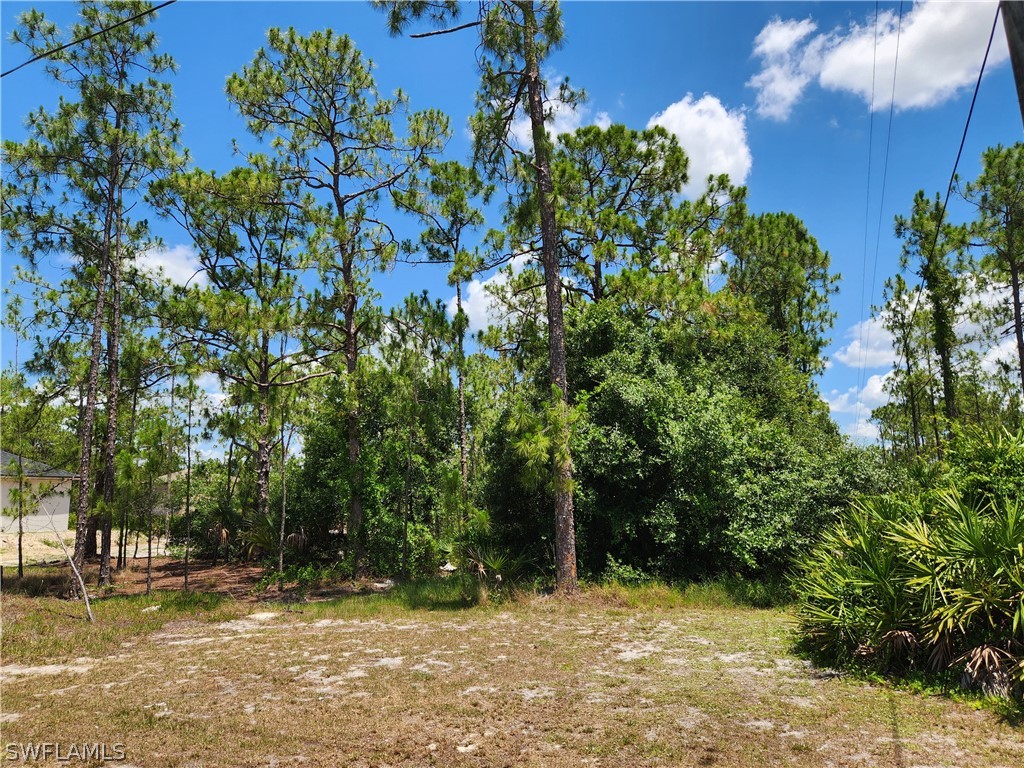 1503 E 15th Street Lehigh Acres FL 33972 224046425 image1