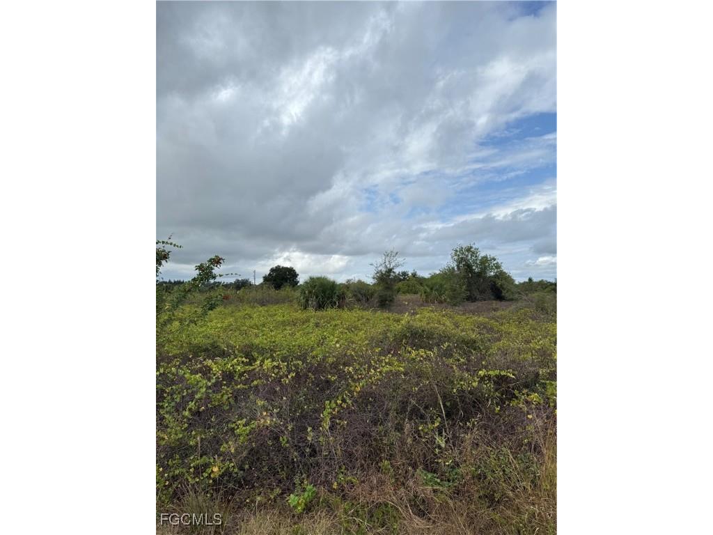 1503 Irving Avenue Lehigh Acres FL 33972 2025023934 image1