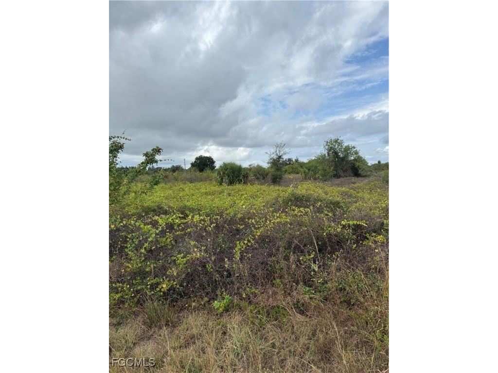 1503 Irving Avenue Lehigh Acres FL 33972 2025023934 image2