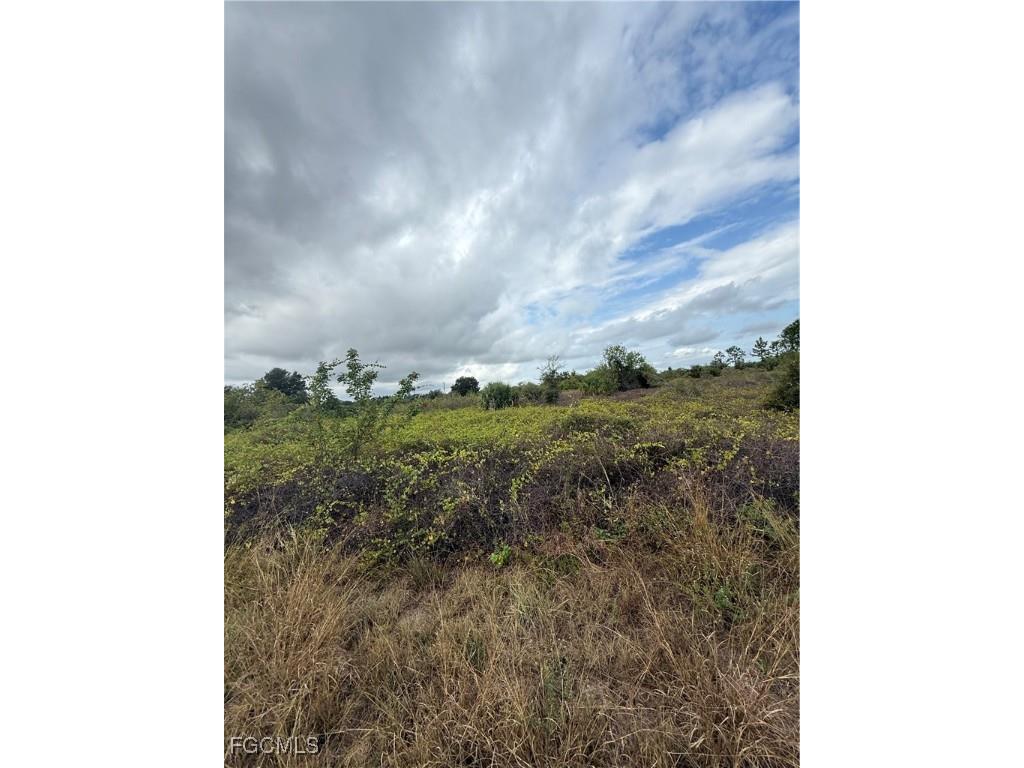 1503 Irving Avenue Lehigh Acres FL 33972 2025023934 image3