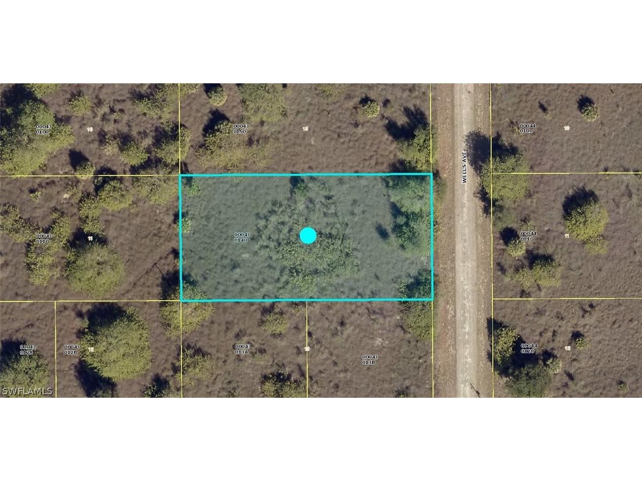 1503 Wells Avenue Lehigh Acres FL 33972 222060859 image1