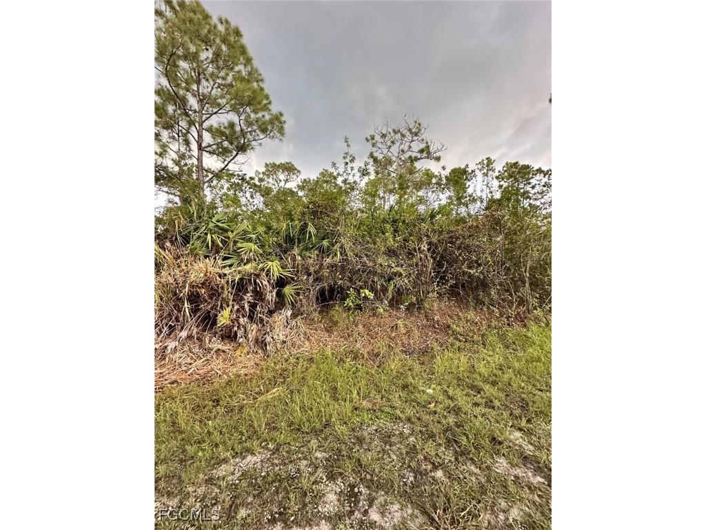 1504 Cleveland Avenue Lehigh Acres FL 33972 2026001101 image3