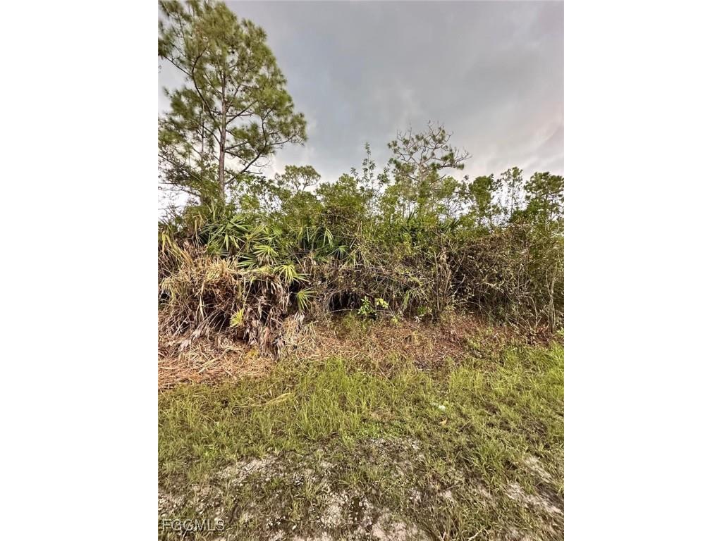 1504 Cleveland Avenue Lehigh Acres FL 33972 2026001101 image9