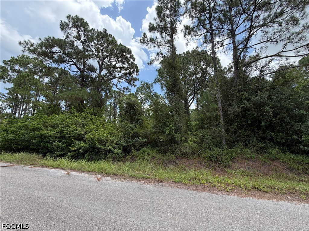 1504 Dixie Avenue Lehigh Acres FL 33972 2026031027 image8
