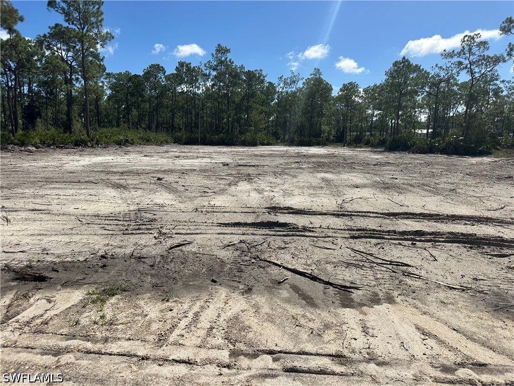 1504 Maple Avenue N Lehigh Acres FL 33972 226014686 image2