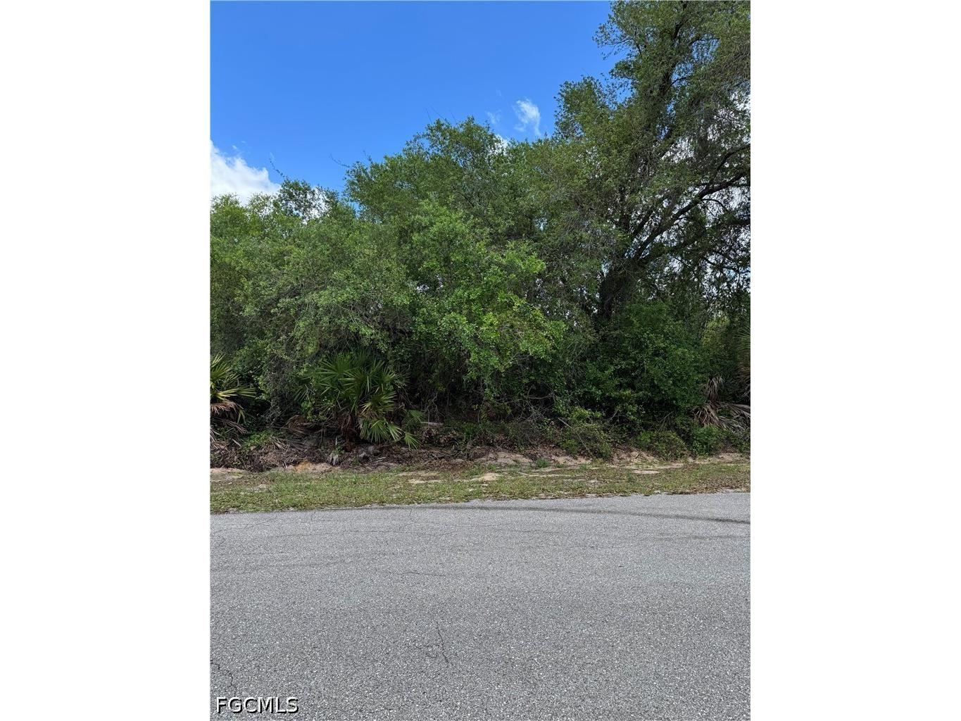 1505 Euclid Avenue Lehigh Acres FL 33972 2026017173 image4