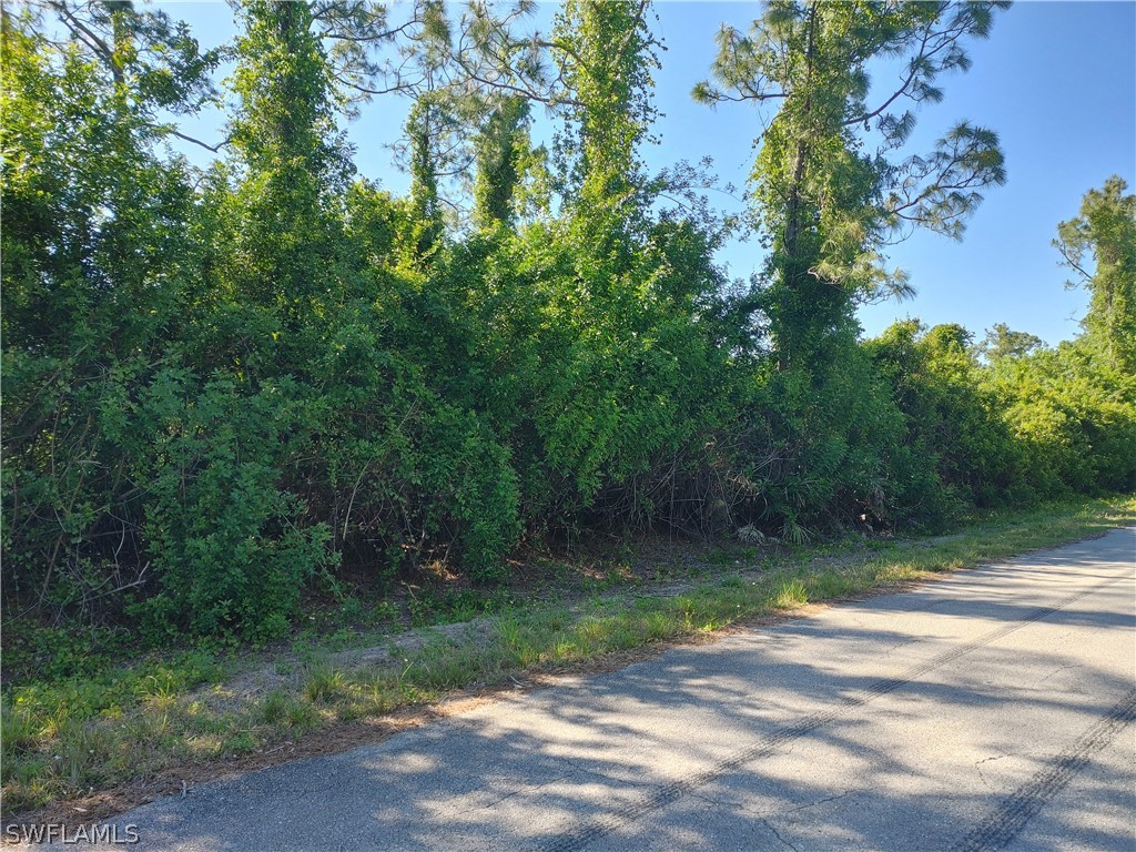 1505 Lake Avenue Lehigh Acres FL 33972 224032045 image1