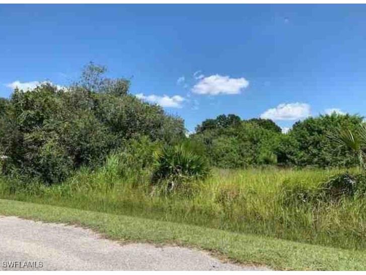 1505 Wellington Avenue Lehigh Acres FL 33972 225007997 image1