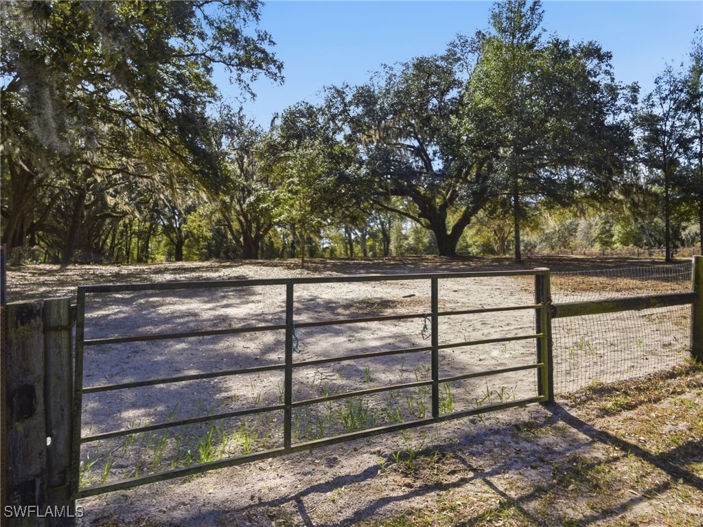 15050 W Hwy 328 Ocala FL 34482 226002208 image44