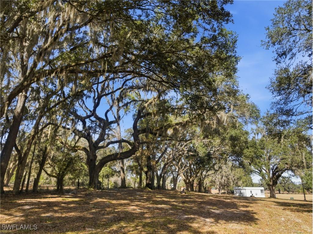 15050 W Hwy 328 Ocala FL 34482 226002208 image49