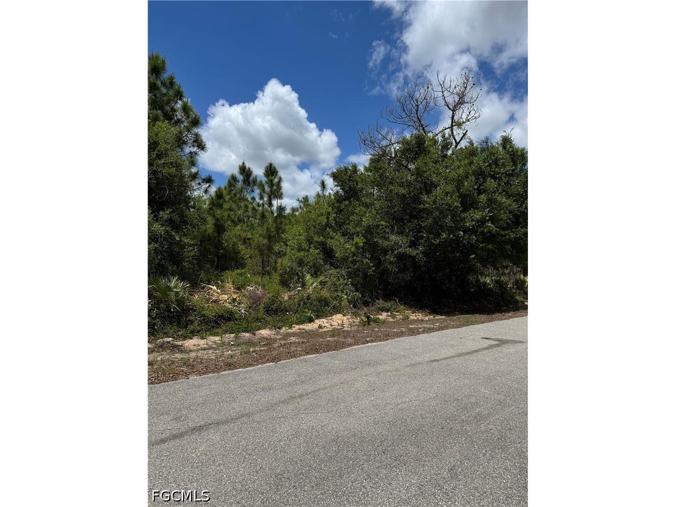 1507 Euclid Avenue Lehigh Acres FL 33972 2026017387 image1