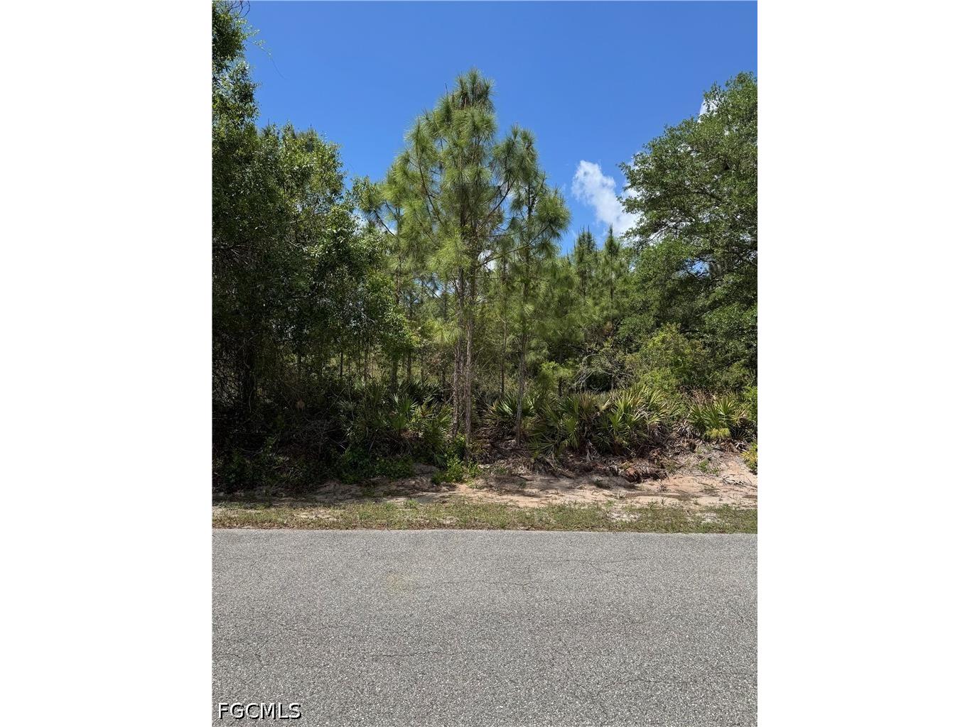 1507 Euclid Avenue Lehigh Acres FL 33972 2026017387 image2