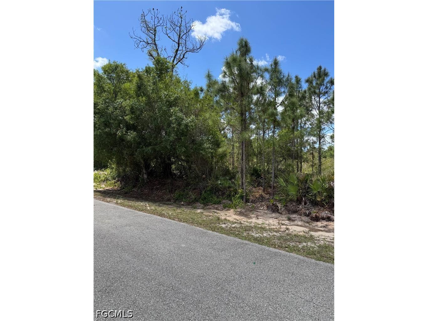 1507 Euclid Avenue Lehigh Acres FL 33972 2026017387 image3