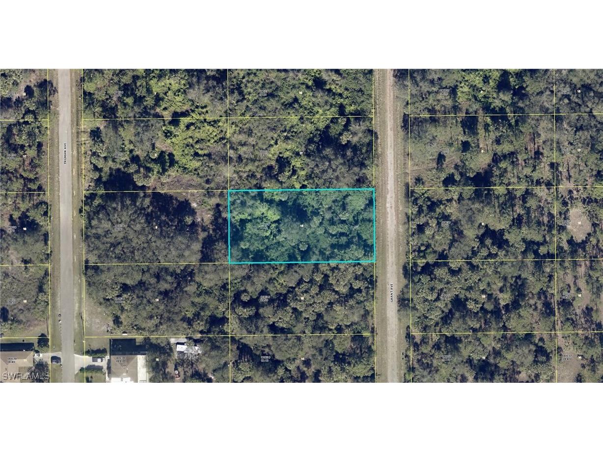 1507 Grant Avenue Lehigh Acres FL 33972 223080595 image1