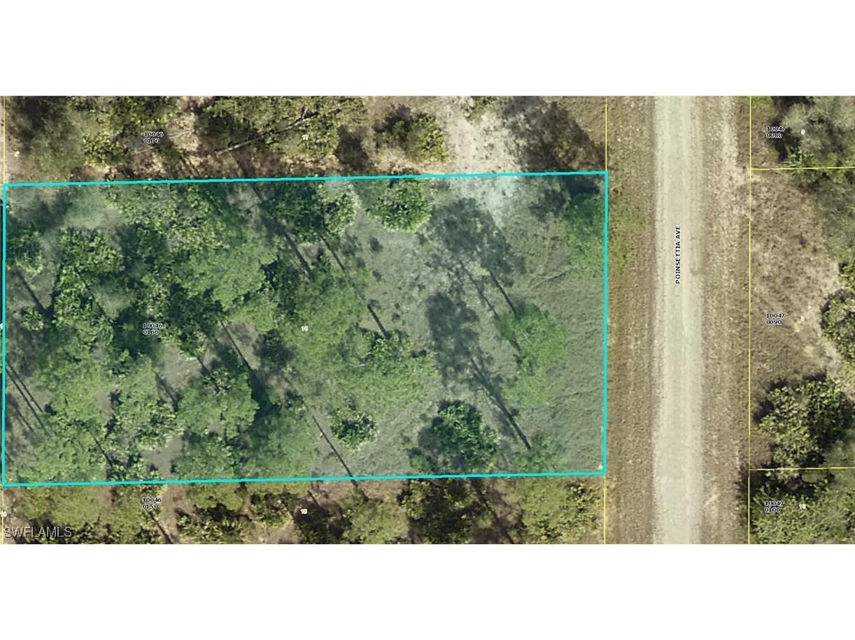 1507 Poinsettia Avenue Lehigh Acres FL 33972 224075964 image1