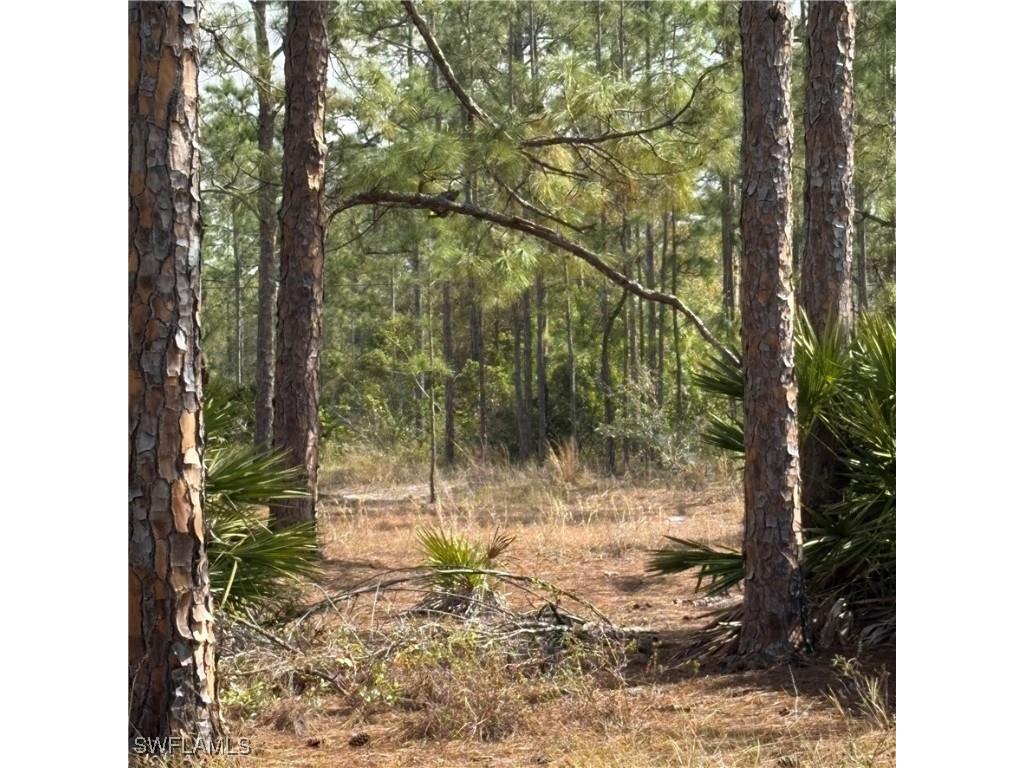 1508 Cleveland Avenue Lehigh Acres FL 33972 225012880 image1