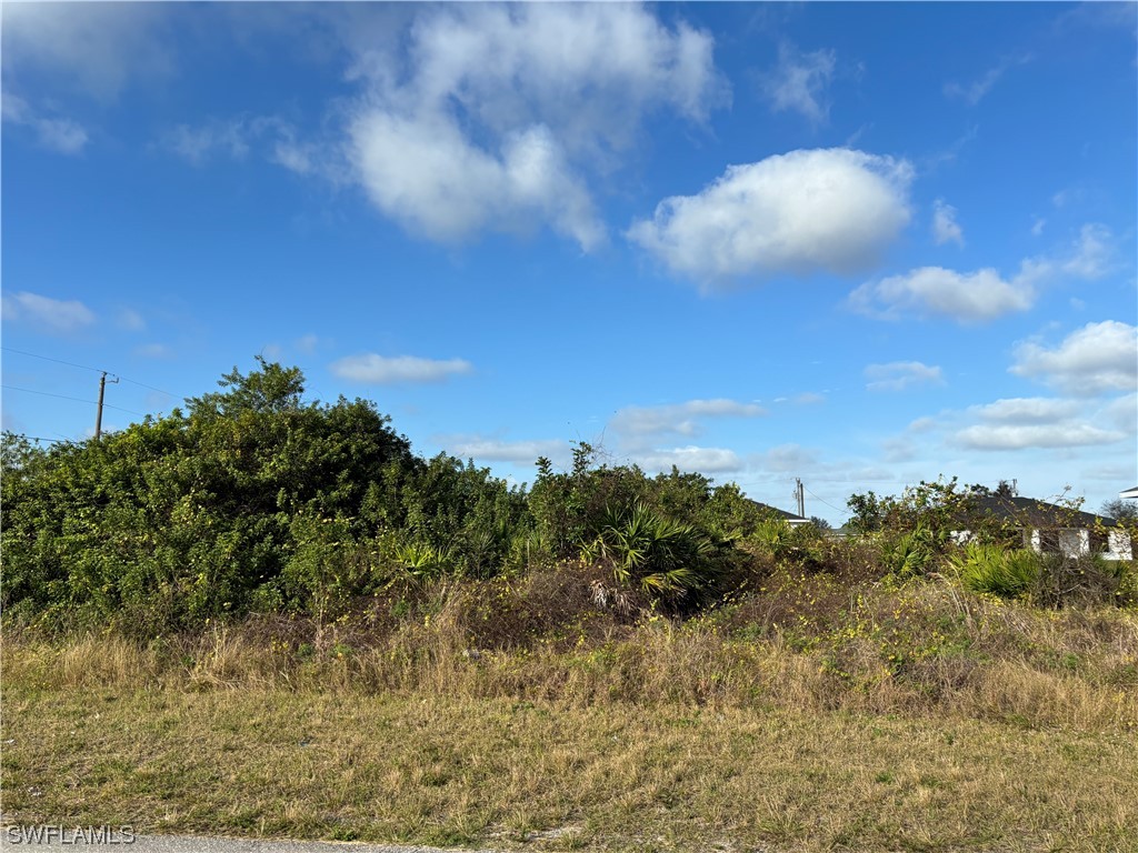 1508 Olive Avenue S Lehigh Acres FL 33976 224014314 image1