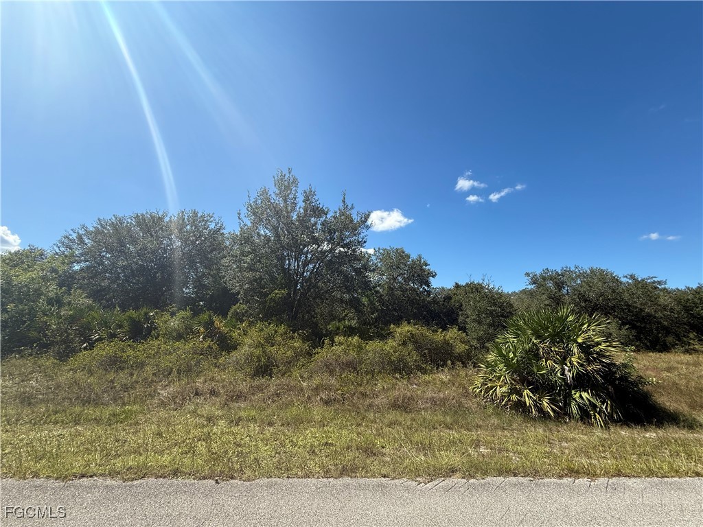 1509 Clayton Avenue Lehigh Acres FL 33972 2025014939 image2