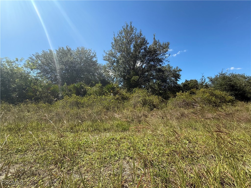 1509 Clayton Avenue Lehigh Acres FL 33972 2025014939 image4