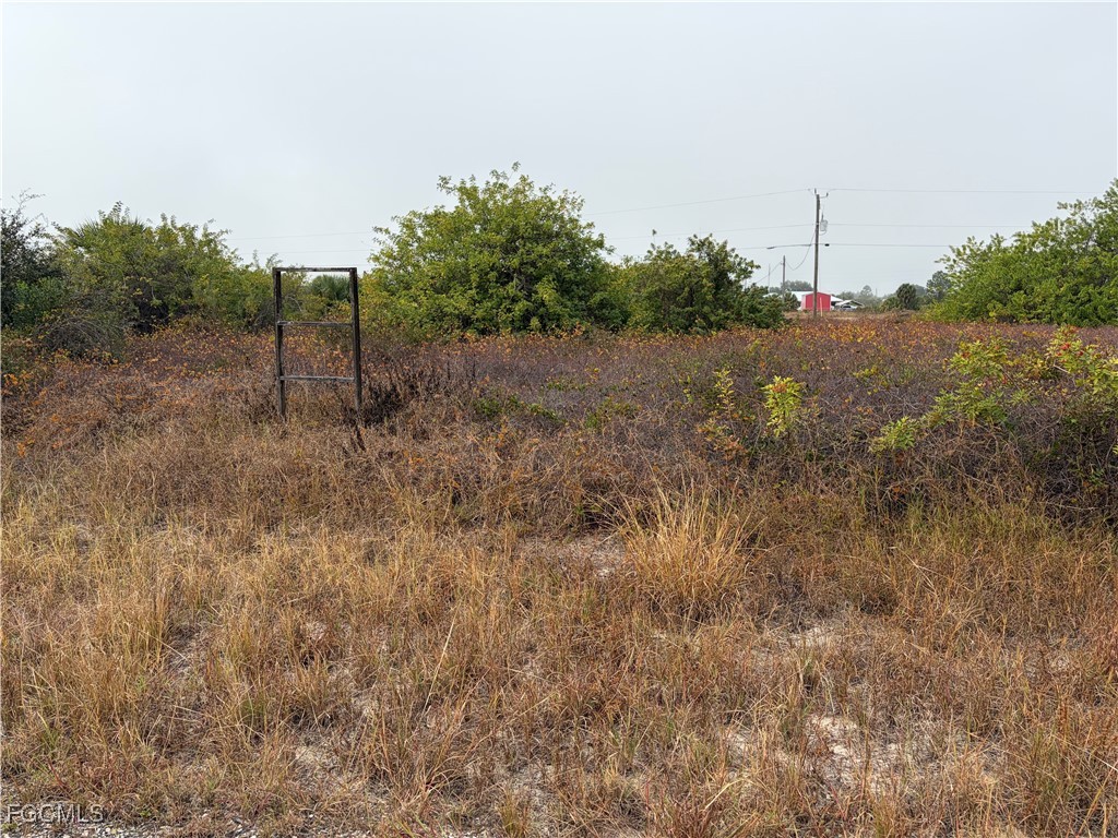 1509 Wells Avenue Lehigh Acres FL 33972 2025025868 image1