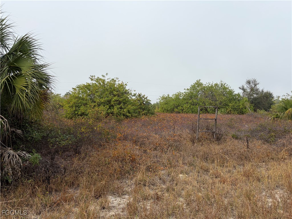 1509 Wells Avenue Lehigh Acres FL 33972 2025025868 image2