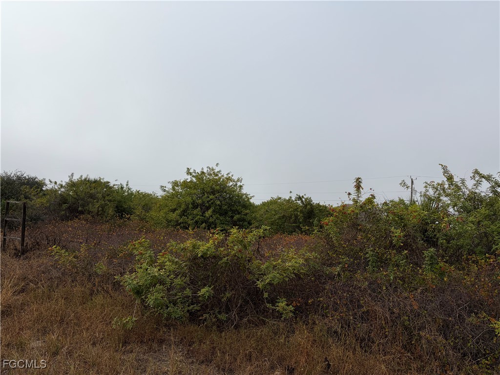 1509 Wells Avenue Lehigh Acres FL 33972 2025025868 image3