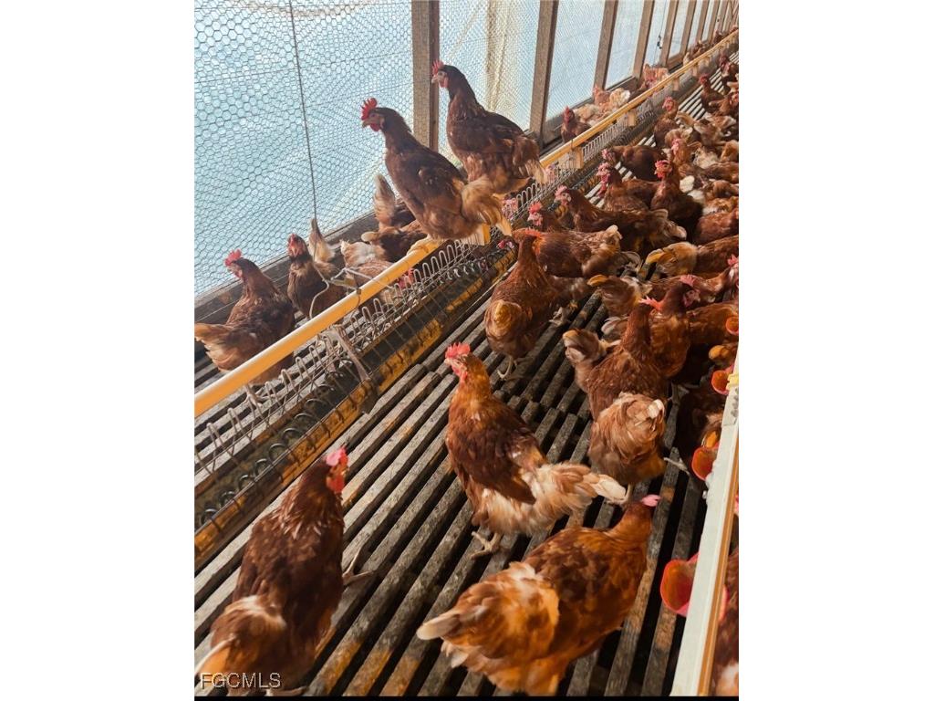 151-159 Union Grove Cemetery Road Palatka FL 32177 2025014695 image3