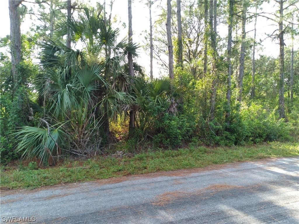 1510 Calvin Avenue Lehigh Acres FL 33972 224010192 image1