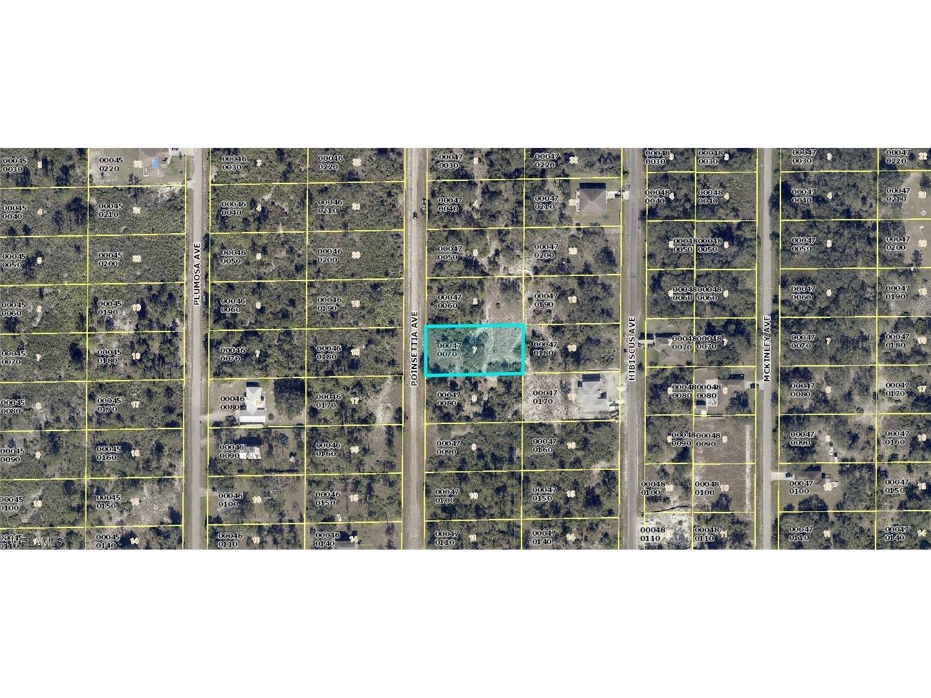 1510 Poinsettia Avenue Lehigh Acres FL 33972 223060103 image1