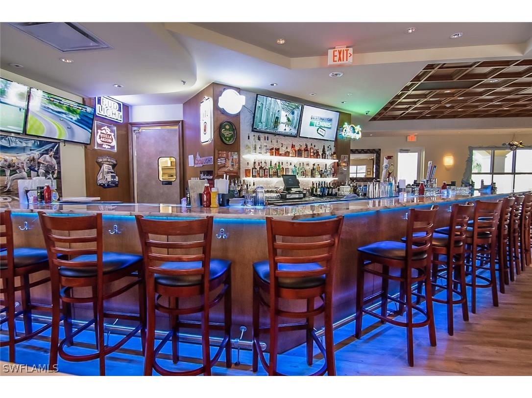 15100 Danios Drive Bonita Springs FL 34135 226007809 image44