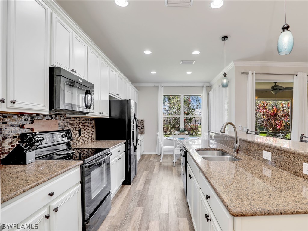 15100 Danios Drive Bonita Springs FL 34135 226007809 image6