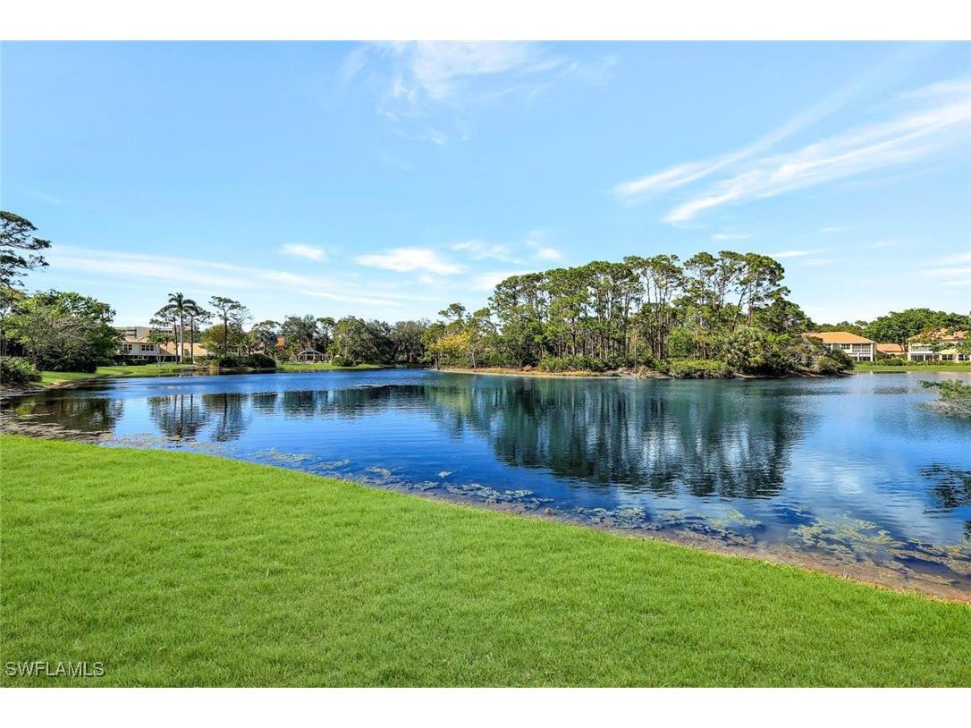 15103 Royal Fern Court #E100 Naples FL 34110 225018126 image23